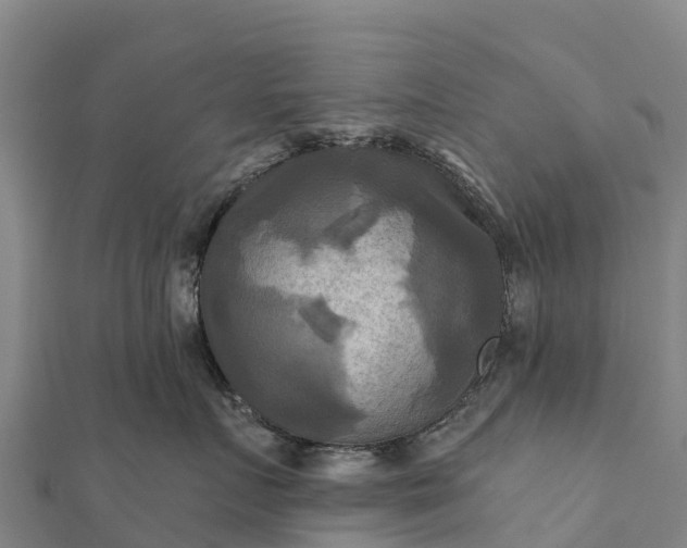 X0000112100719200908181325
