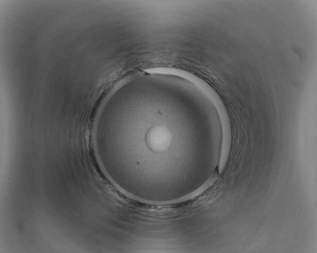 X0000112100720200908181325