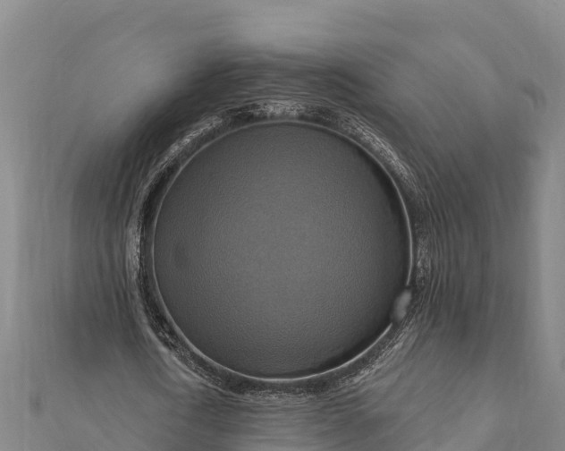 X0000112100722200908181325