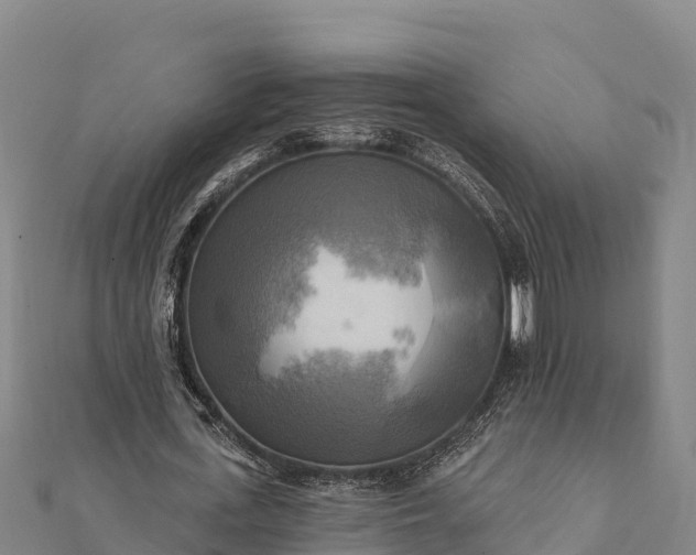 X0000112100723200908181325