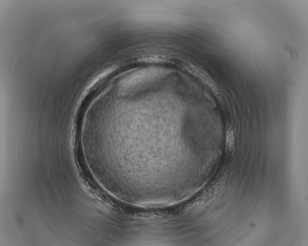 X0000112100724200908181325