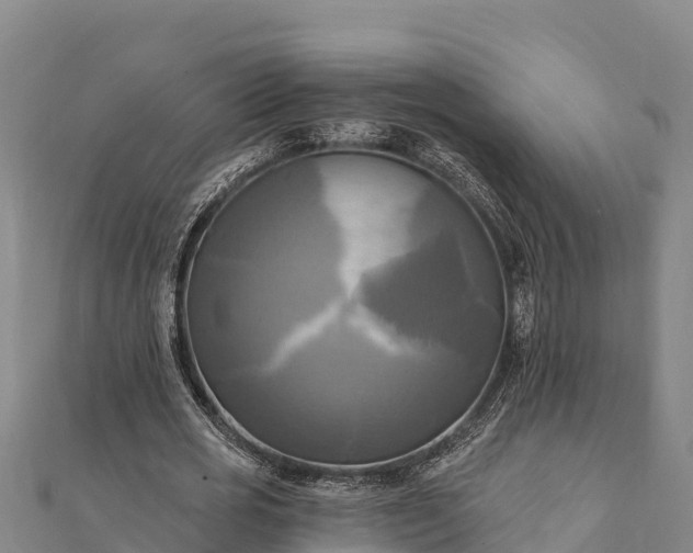X0000112100725200908181325