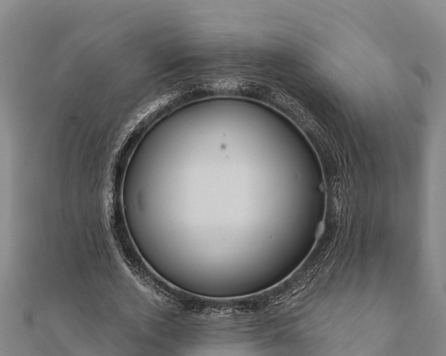 X0000112100728200908181325