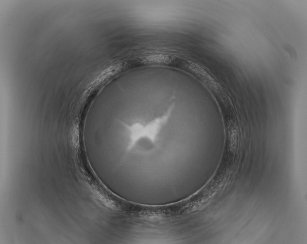 X0000112100729200908181325