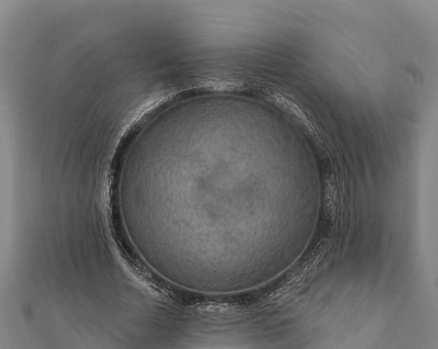 X0000112100730200908181325