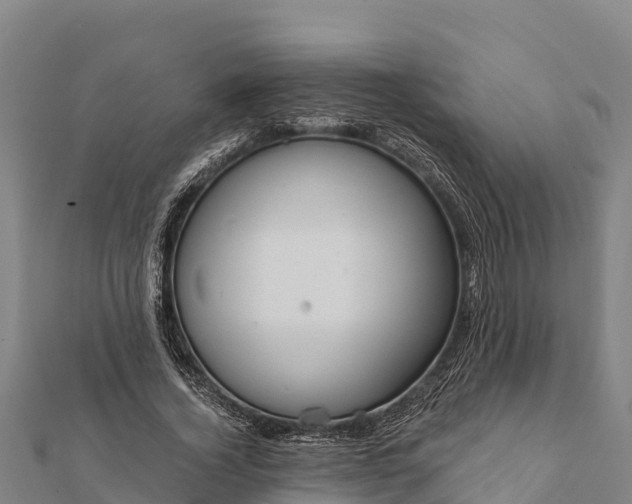 X0000112100732200908181325
