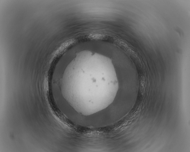 X0000112100734200908181325