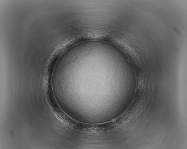 X0000112100736200908181325