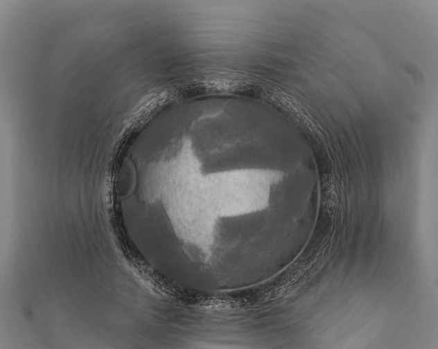 X0000112100738200908181325