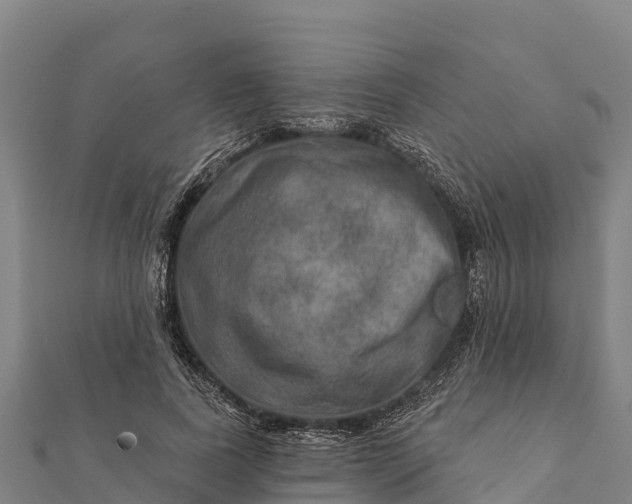 X0000112100739200908181325