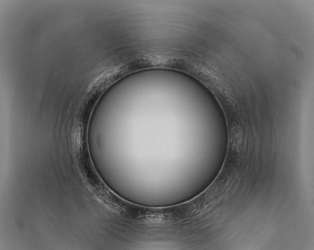 X0000112100740200908181325