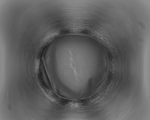 X0000112100742200908181325