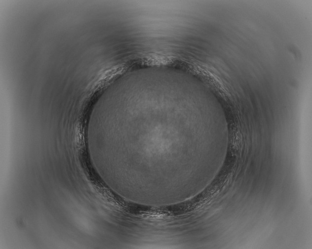 X0000112100743200908181325