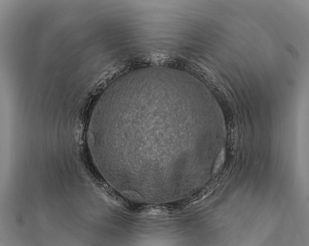 X0000112100750200908181325