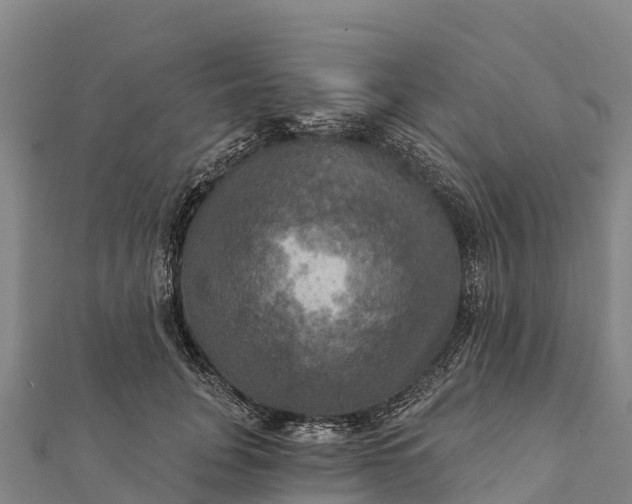 X0000112100751200908181325