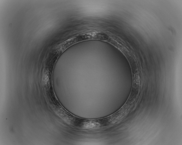 X0000112100754200908181325