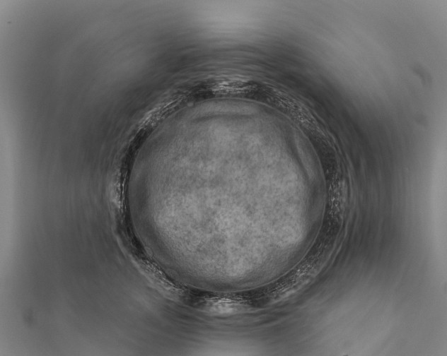 X0000112100755200908181325