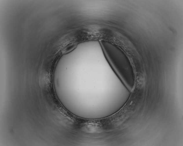 X0000112100756200908181325