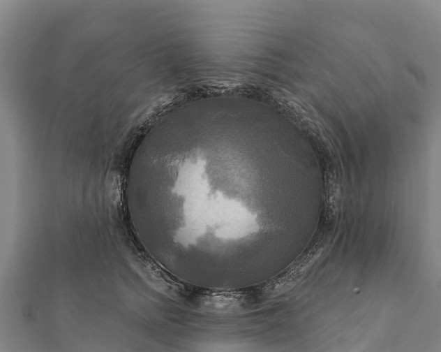X0000112100758200908181325