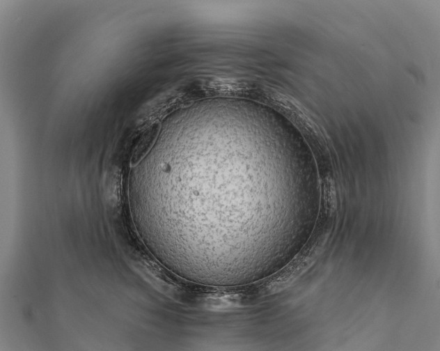 X0000112100760200908181325