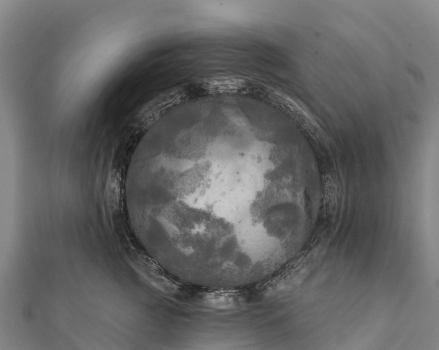 X0000112100761200908181325