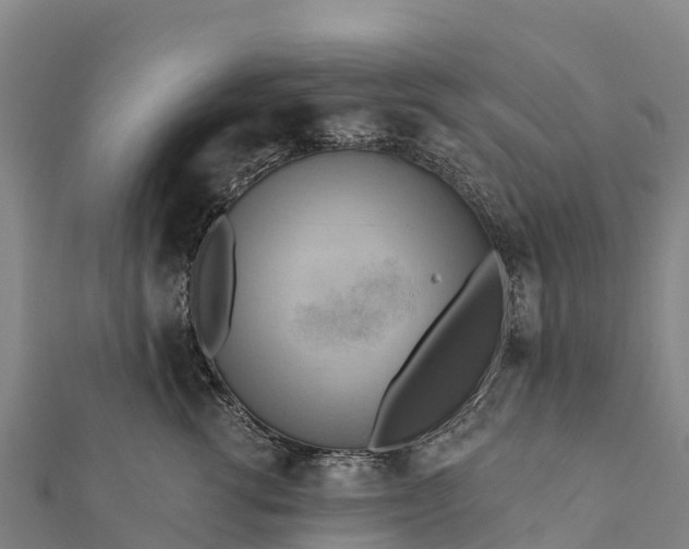 X0000112100762200908181325