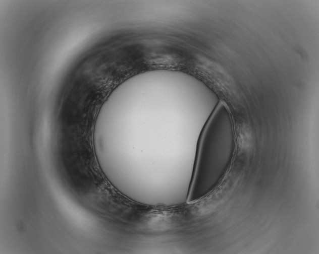 X0000112100764200908181325