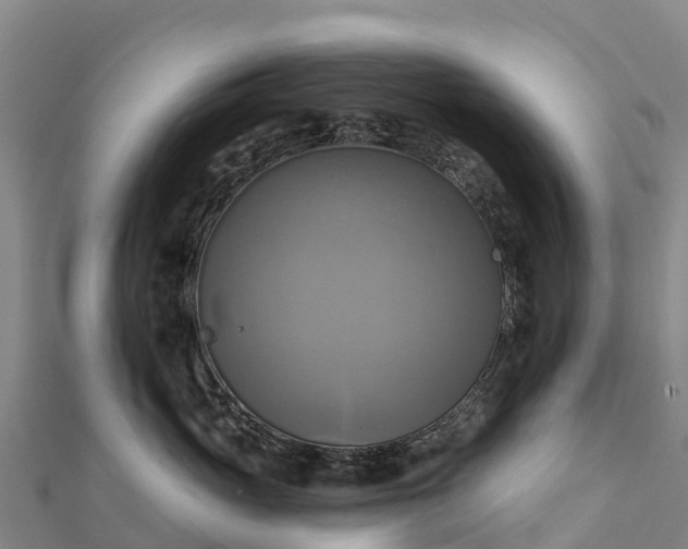 X0000112100765200908181325