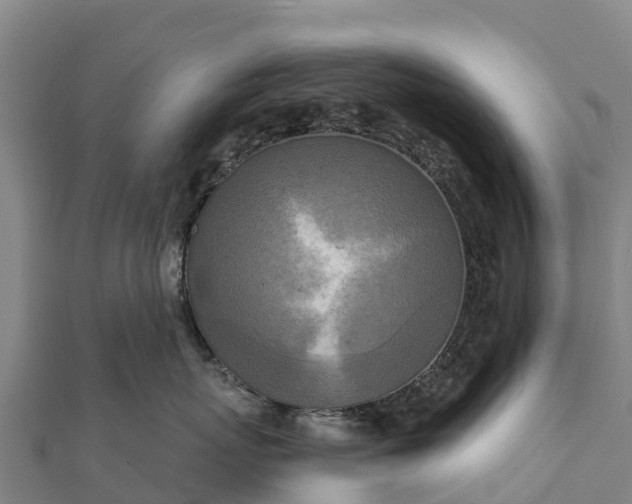 X0000112100767200908181325