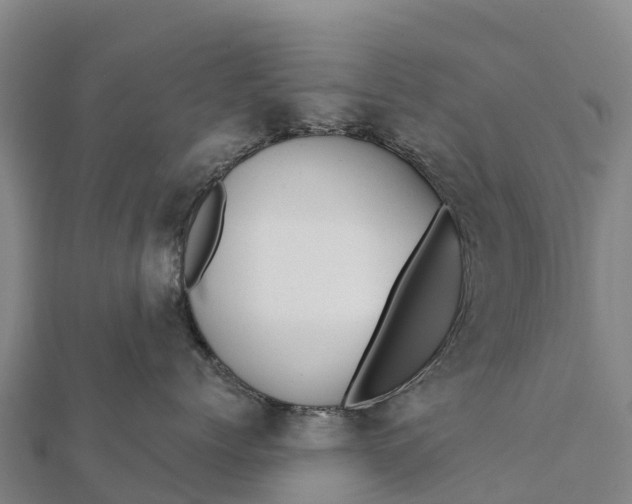 X0000112100768200908181325