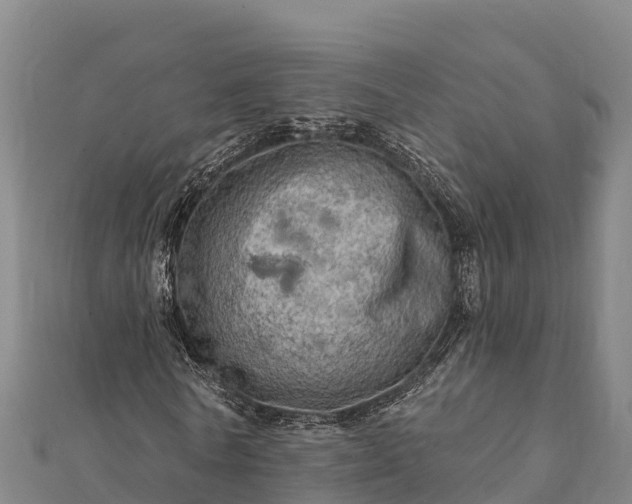 X0000112100770200908181325