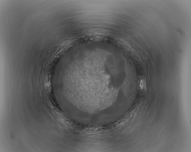 X0000112100771200908181325