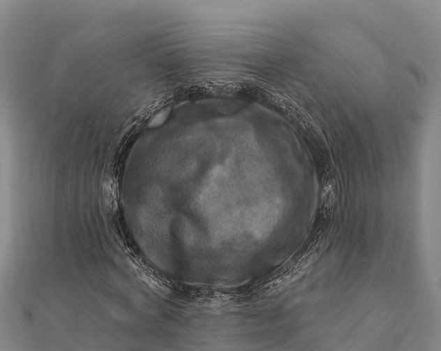 X0000112100772200908181325
