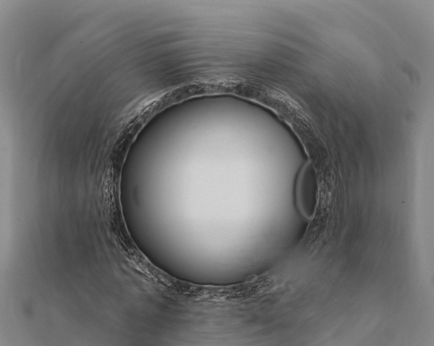 X0000112100773200908181325