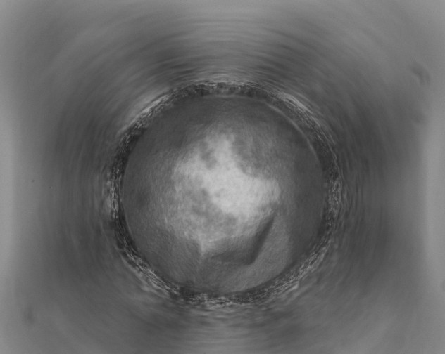 X0000112100774200908181325
