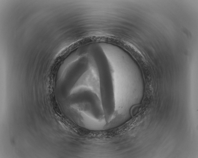 X0000112100775200908181325