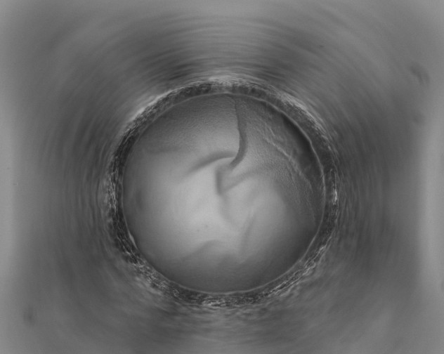 X0000112100776200908181325