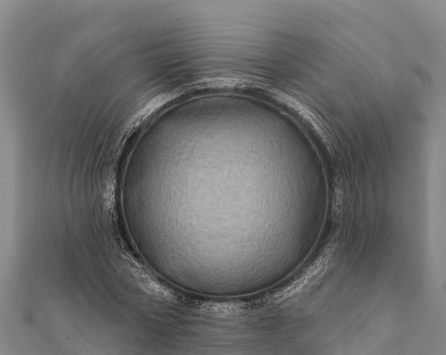 X0000112100778200908181324