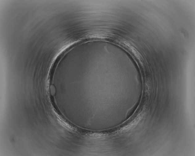 X0000112100779200908181324