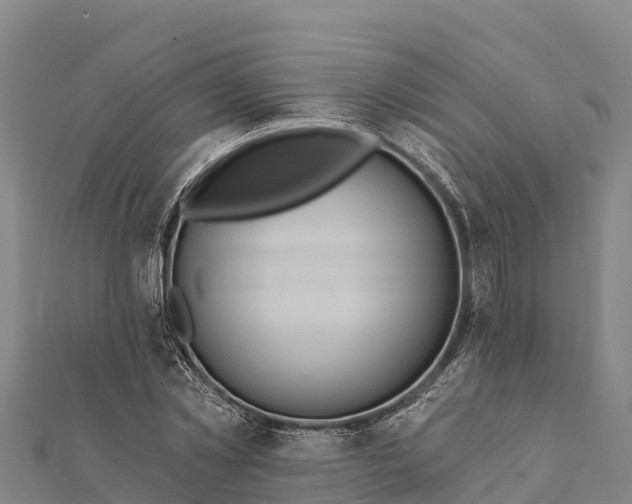 X0000112100781200908181324