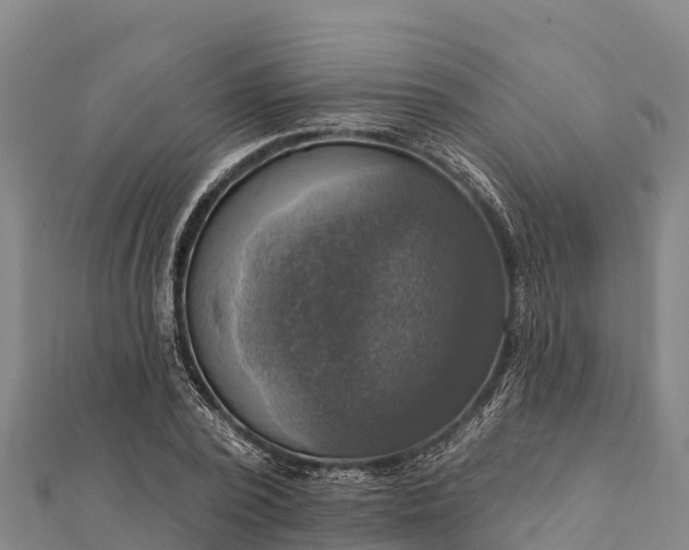 X0000112100784200908181324