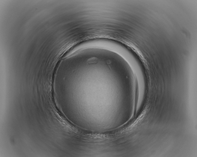X0000112100785200908181324