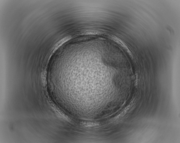 X0000112100786200908181324