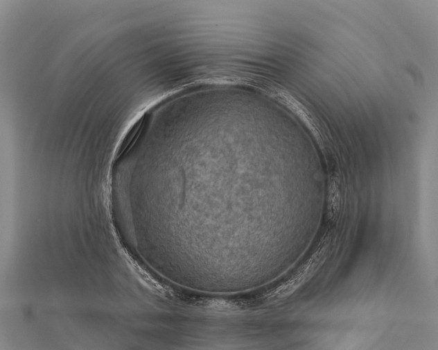 X0000112100787200908181324