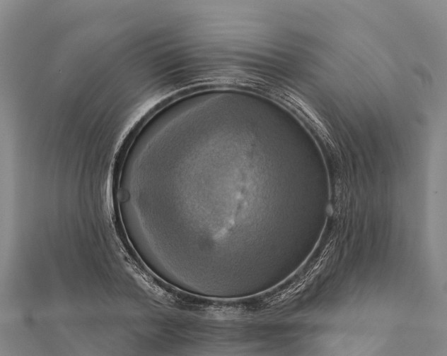 X0000112100788200908181324