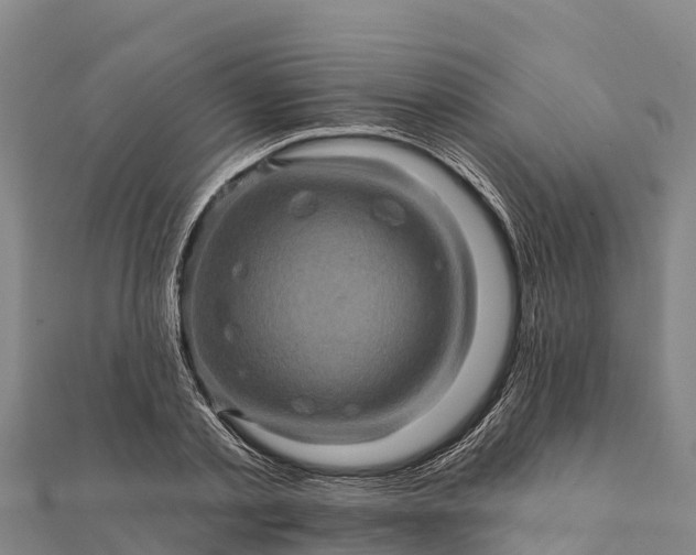 X0000112100789200908181324