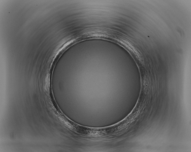 X0000112100790200908181324
