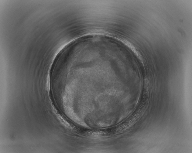 X0000112100791200908181324