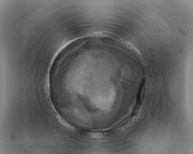 X0000112100792200908181324