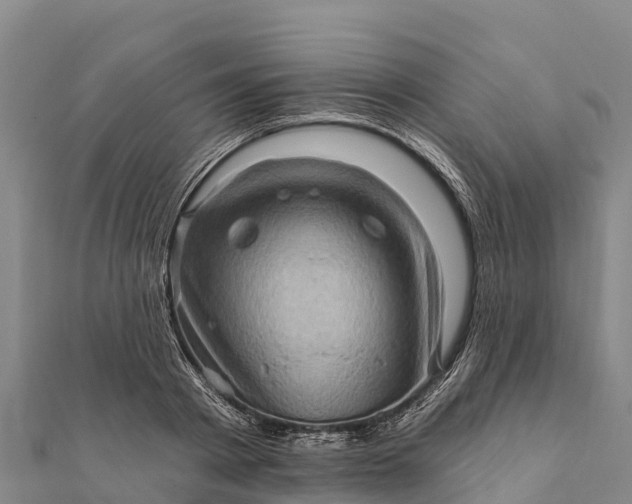 X0000112100793200908181324